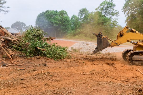 Ground Clearing in Stow