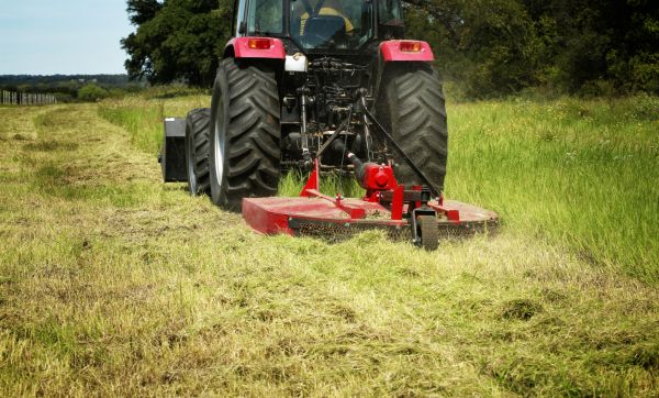 Brush Clearing Service in Stow