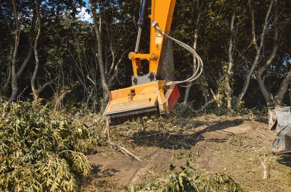 Brush Removal Service in Stow