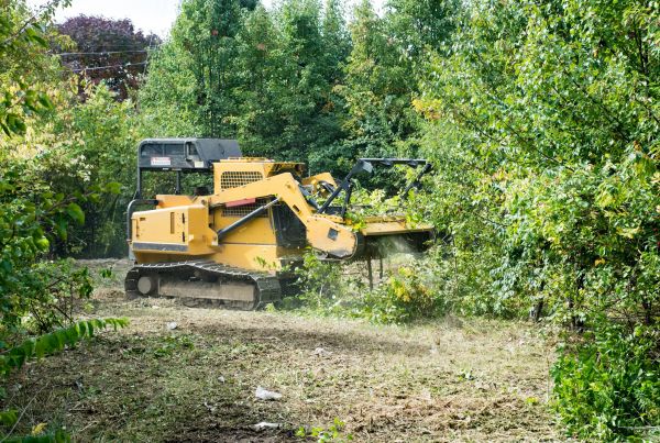 Cost of Pathway Clearing in Stow
