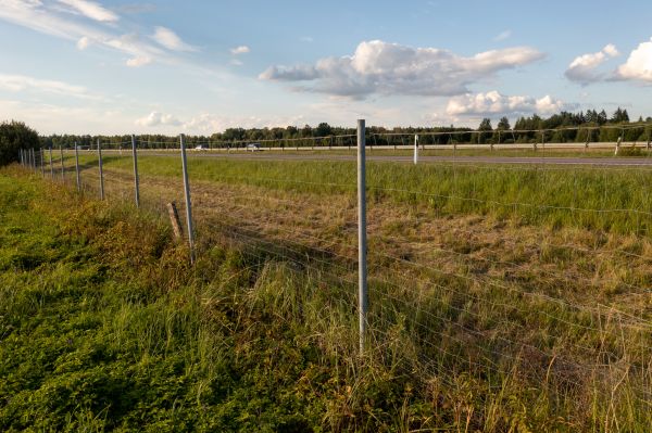 Cost of Property Line Clearing in Stow