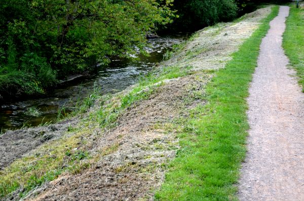 Cost of Trail Cutting in Stow