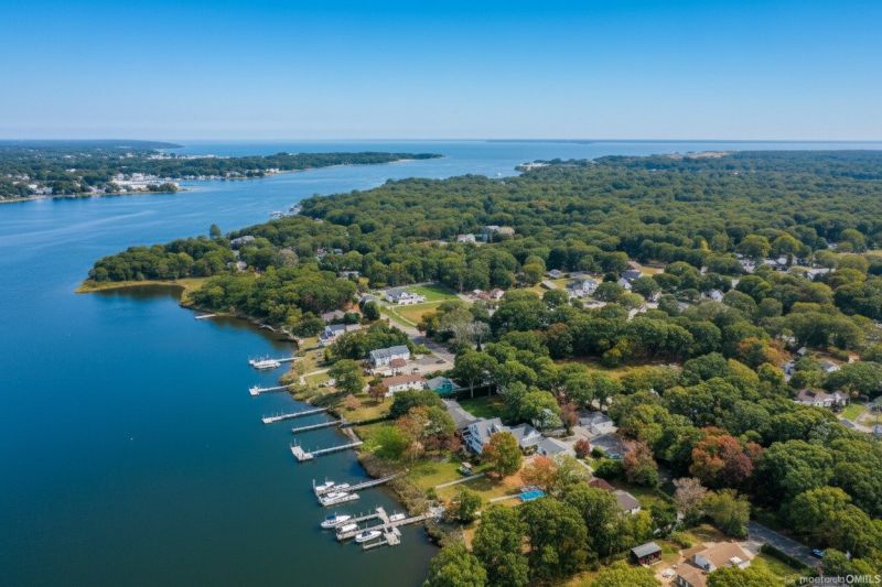 Waterfront Land Clearing